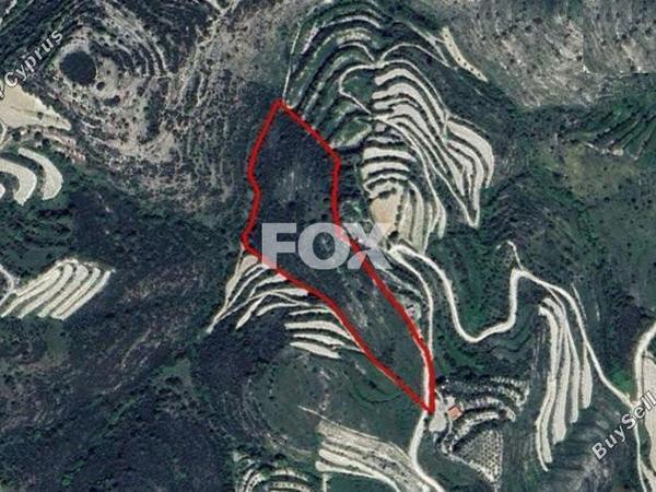 land for sale koili paphos 1644280 image 5660070