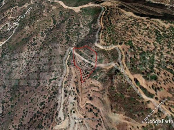 land for sale lageia larnaca 7871280 image 11380824
