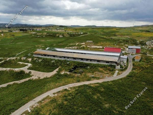studio detached house for sale aradippou larnaca 1530280 image 4556454