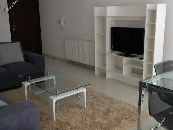 2 bedroom apartment for rent egkomi nicosia 8509380 image 15356384