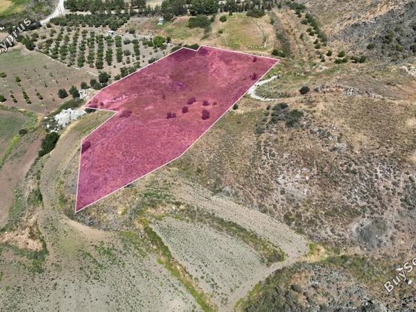land for sale agia varvara paphos 8395380 image 14818809
