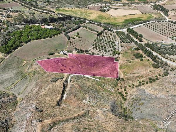 land for sale agia varvara paphos 8395380 image 14818810