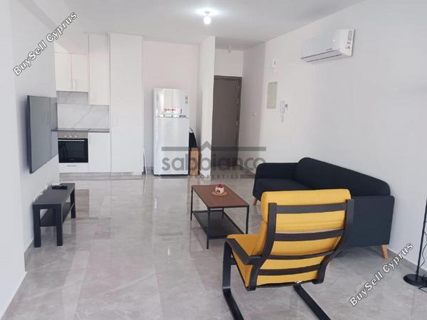 2 bedroom apartment rented oroklini larnaca 8737480 image 16355430
