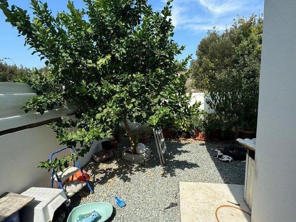 3 bedroom detached house for rent tremithousa paphos 8897480 image 17346166