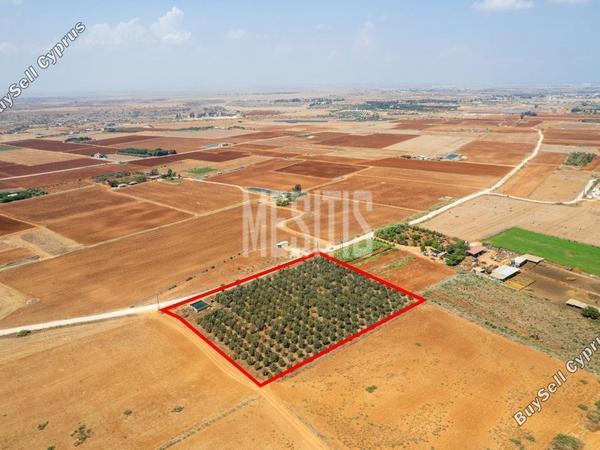 land for sale avgorou famagusta 1393480 image 10510596
