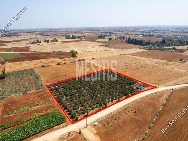 land for sale avgorou famagusta 1393480 image 15891765