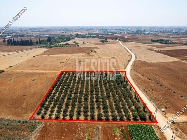 land for sale avgorou famagusta 1393480 image 15891766