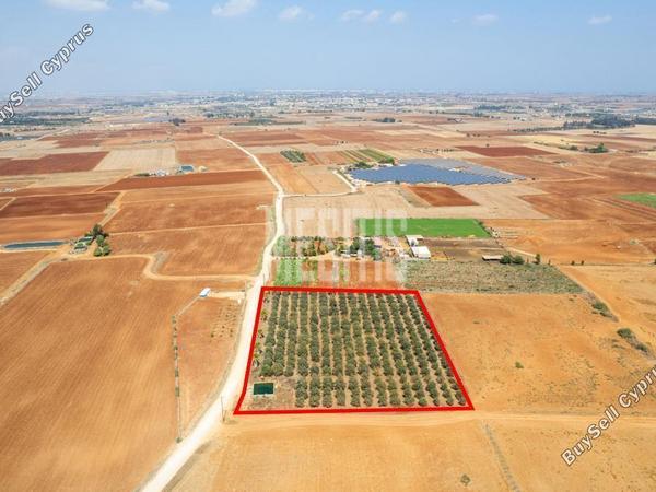 land for sale avgorou famagusta 1393480 image 15891767