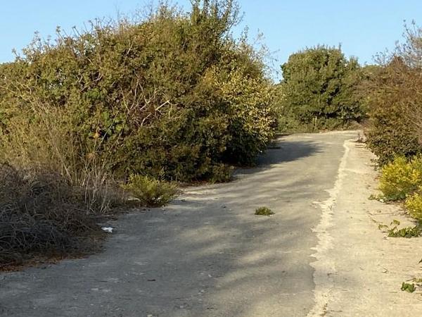 land for sale koili paphos 7739480 image 11749760