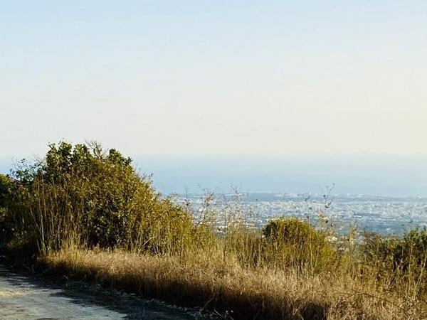 land for sale koili paphos 7739480 image 11749766