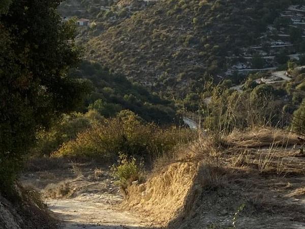 land for sale koili paphos 7739480 image 11943134