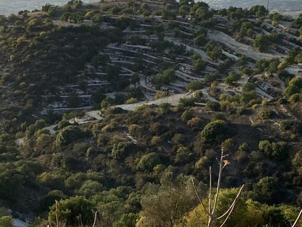 land for sale koili paphos 7739480 image 12575093