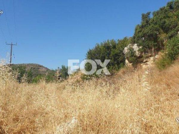 land for sale fasoula lemesou limassol 1146580 image 13316812