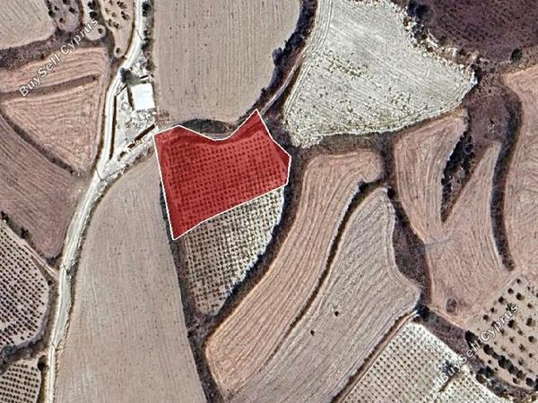 land for sale stroumbi paphos 7703580 image 15594774