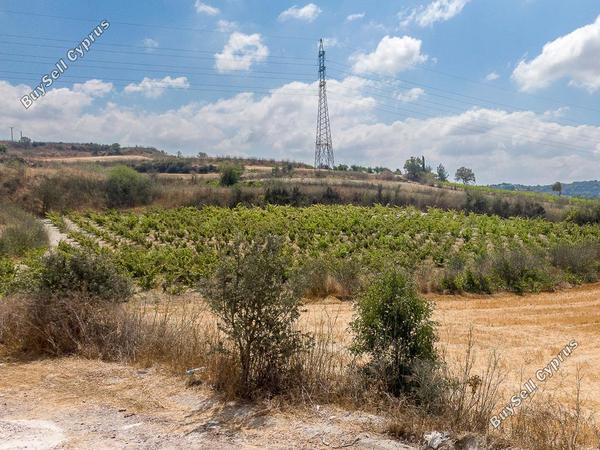 land for sale stroumbi paphos 7703580 image 15594780