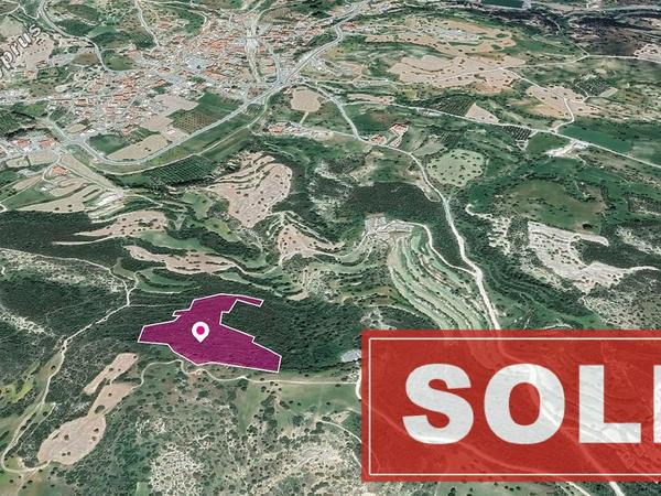land sold agios theodoros larnacas larnaca 1057580 image 1955462