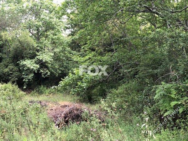 plot for sale kato platres limassol 1147580 image 13606305