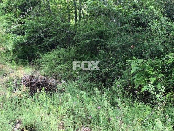 plot for sale kato platres limassol 1147580 image 13606307