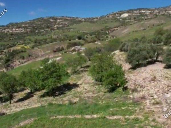 3 bedroom bungalow for sale kilinia paphos 8450680 image 15082027