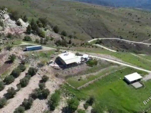 3 bedroom bungalow for sale kilinia paphos 8450680 image 15082029