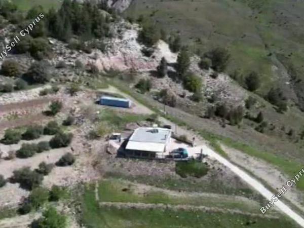 3 bedroom bungalow for sale kilinia paphos 8450680 image 15082034