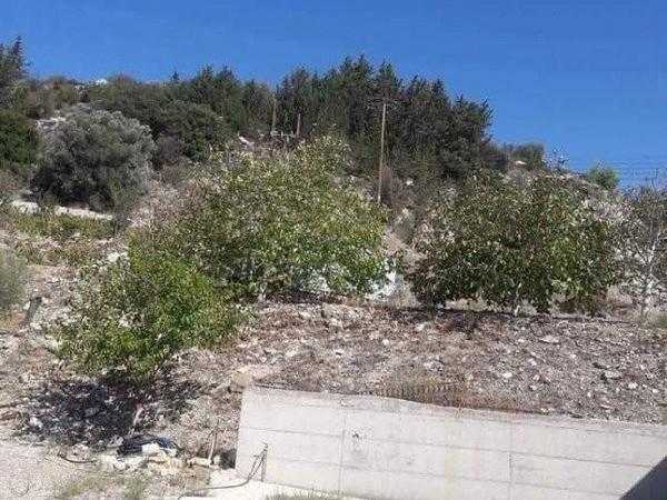 3 bedroom bungalow for sale kilinia paphos 8450680 image 15082036