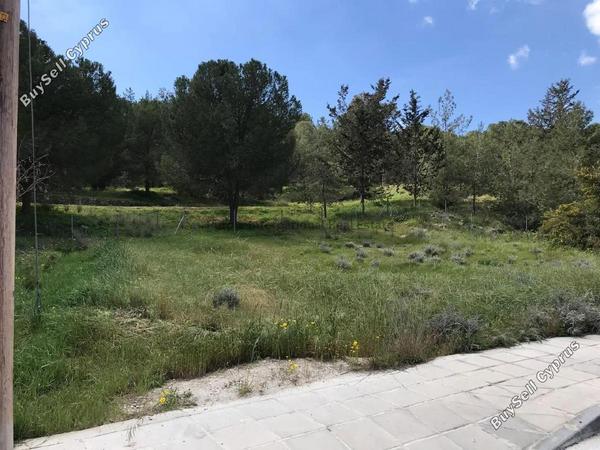 4 bedroom detached house for sale aradippou larnaca 8587680 image 15972425