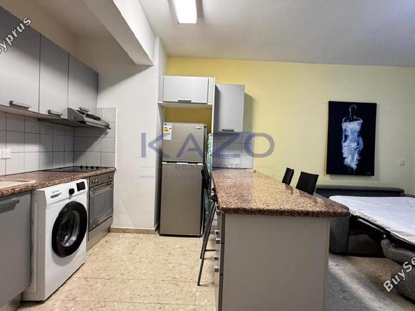 studio apartment for rent mesa gitonia limassol 8406680 image 16334574