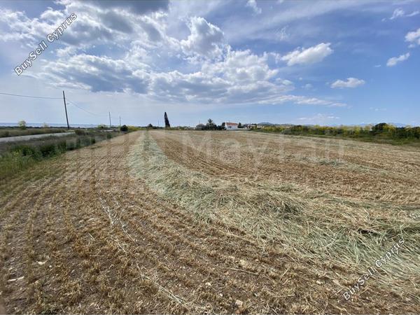 land for sale alaminos larnaca 7873780 image 11394795