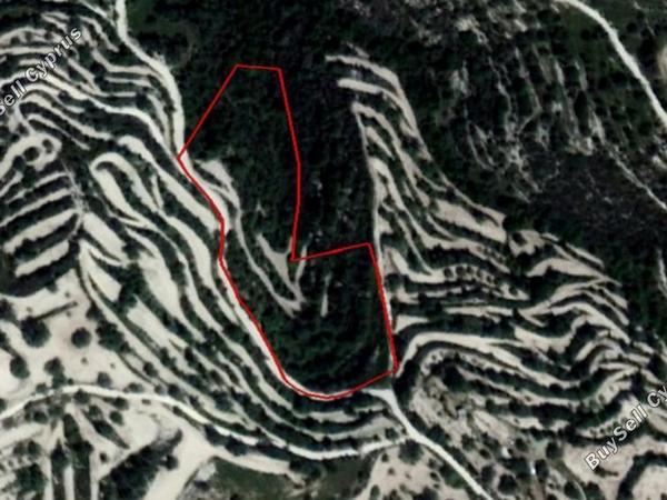 land for sale koili paphos 1355880 image 16249073
