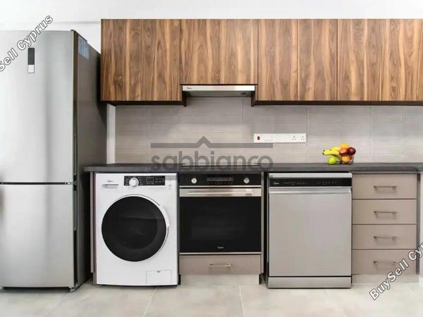 2 bedroom apartment for sale oroklini larnaca 8736980 image 16351631
