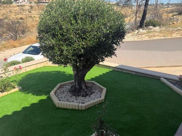 3 bedroom detached house for rent souni zanakia limassol 8785980 image 16693218