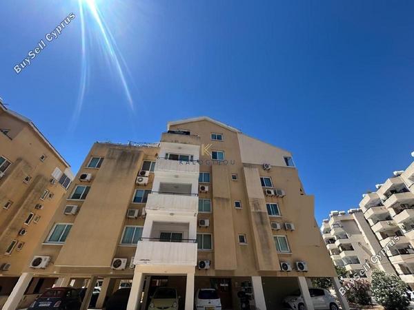 4 bedroom apartment for sale mackenzie larnaca 1868980 image 15497586