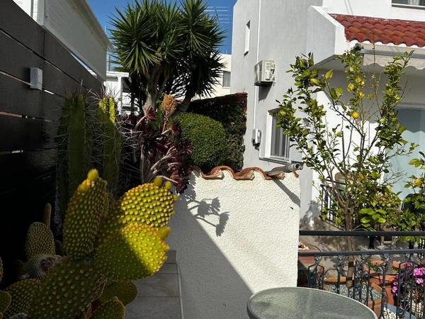 4 bedroom detached house for rent peyia paphos 8433980 image 16056921