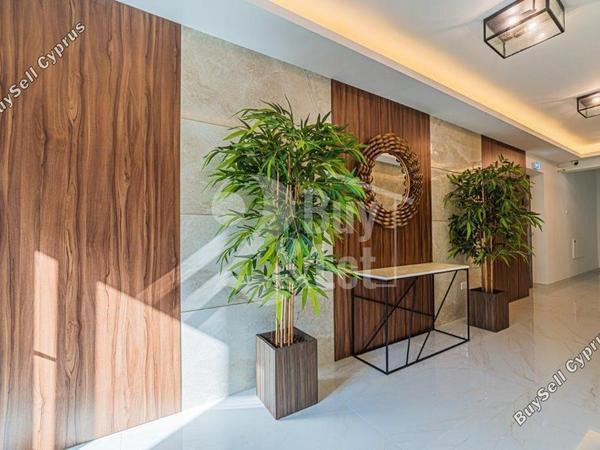 3 bedroom apartment for sale potamos germasogeias limassol 8356090 image 14595183
