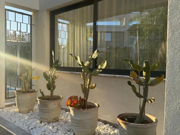 3 bedroom detached house for rent protaras famagusta 8839090 image 17037331