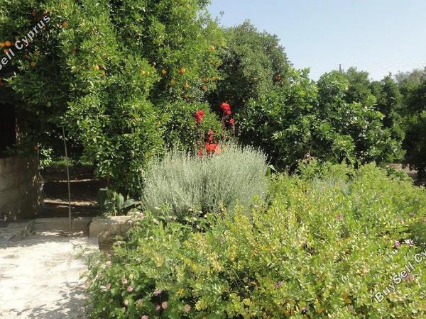 4 bedroom apartment for rent kritou tera paphos 8615090 image 15809882