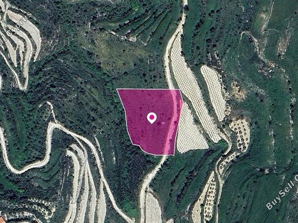 land for sale koili paphos 8396090 image 14823616