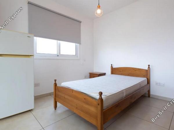 studio penthouse for rent aglantzia nicosia 8884090 image 17291329