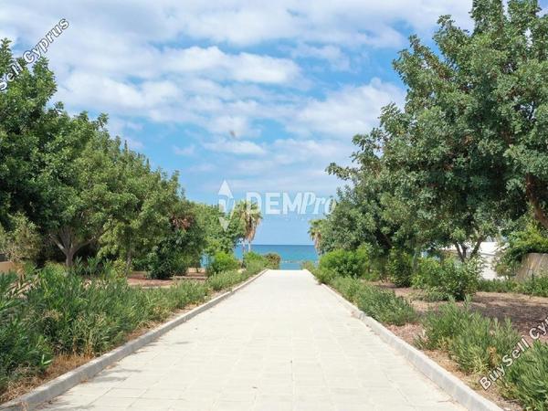 4 bedroom detached house for sale latsi paphos 7812190 image 12688325