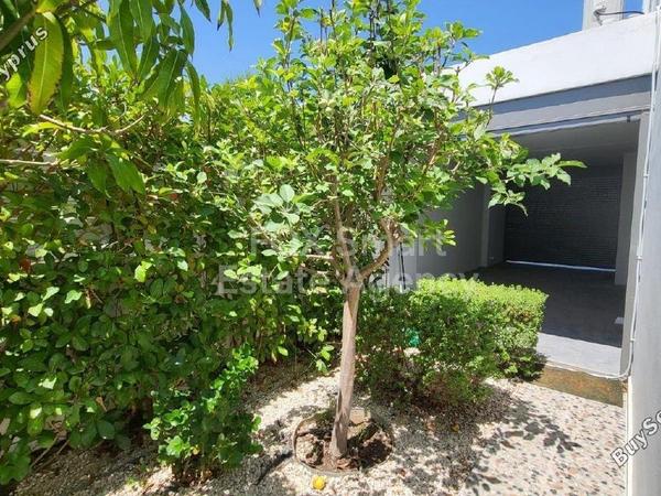 4 bedroom detached house for sale livadia larnacas larnaca 8056190 image 12955468