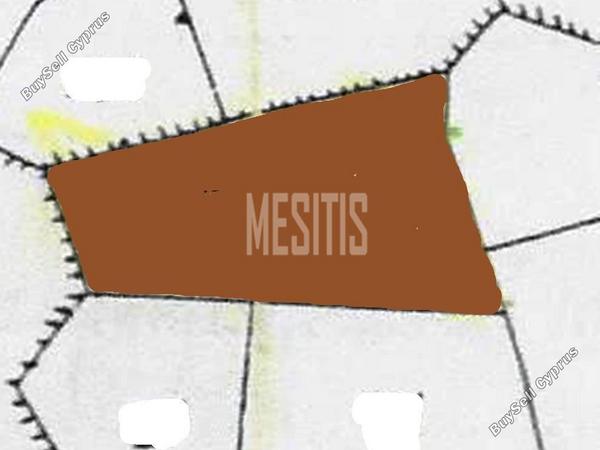 land for sale agios theodoros larnacas larnaca 976190 image 11180213