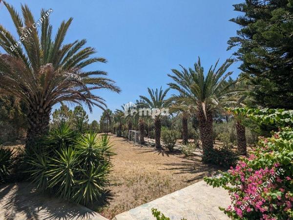 6 bedroom detached house for sale ergates nicosia 1729290 image 5540399