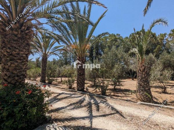 6 bedroom detached house for sale ergates nicosia 1729290 image 5540401