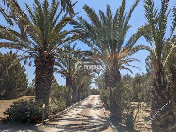 6 bedroom detached house for sale ergates nicosia 1729290 image 5540402
