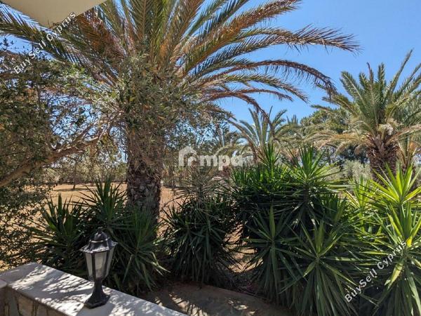 6 bedroom detached house for sale ergates nicosia 1729290 image 5540444