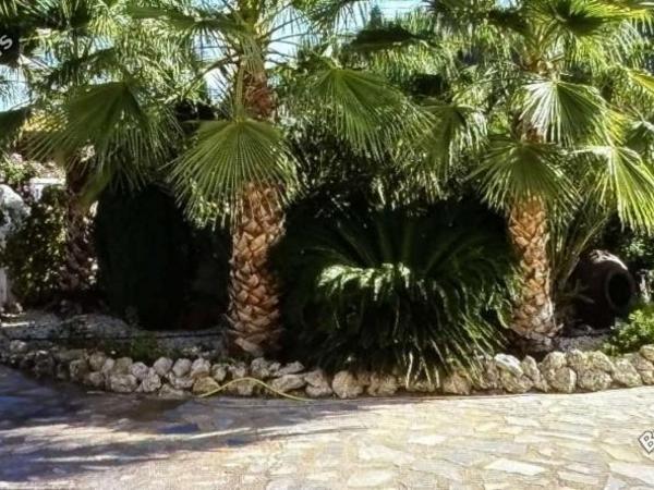 7 bedroom detached house for sale tsada paphos 1354290 image 5599457
