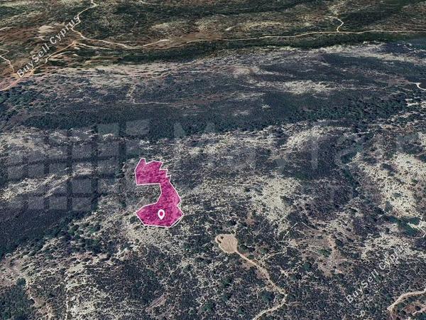 land for sale anogyra limassol 7872290 image 14892056