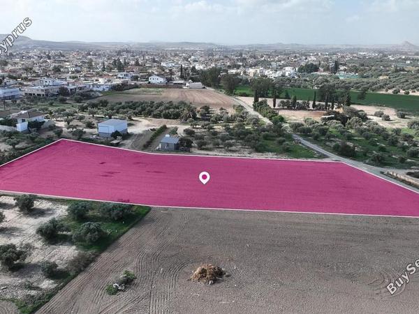land for sale athienou larnaca 8629290 image 15867195