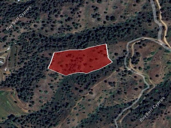 land for sale gourri nicosia 1336290 image 7640518